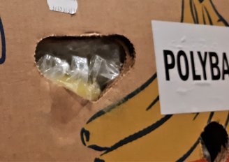 Een doos met een polybag met bananen. Deze zak kan gecombineerd worden met CA-condities. Foto van WUR. 