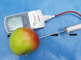Interne producttemperatuur van een appel. Foto van WUR