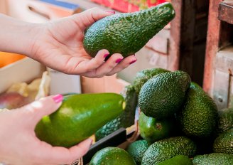 Different avocado varieties in the supermarket. Photo by Dragana Gordic/Shutterstock.com