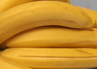Bananen met gespleten schil. Foto van WUR