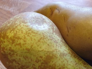 Bruised pear. Photo by WFBR