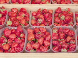 Strawberries in the supermarket. Photo by TeeraPhoto/Shutterstock.com