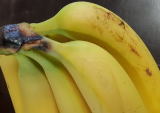 Latexvlekken op de banaan. Foto van WUR