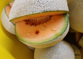 Schil en vruchtvleeskleur van een meloen zijn indicatoren voor zijn rijpheid. Foto van WUR