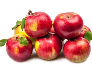 A group of good looking apples. Photo by SaGa Studio/Shutterstock.com