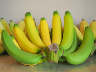 Bananen in verschillende rijpheidsstadia. Foto van Tknature/Shutterstock.com