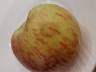 Apple with a bruise. Photo by WFBR