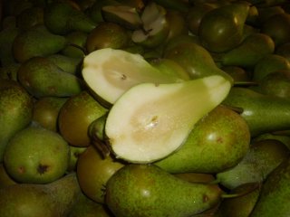 A partly frozen pear visible by the glassy tissue. Photo by WUR