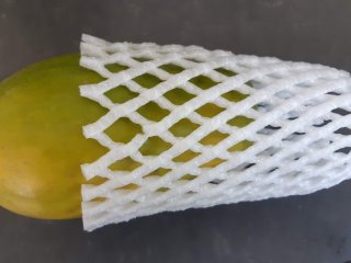 Papaya protected with a polystyrene net. Photo by WUR