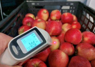 Een infrarood thermometer meet de oppervlaktetemperatuur. Foto door WUR.