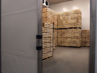 Storage room with apples and open door. Photo by Dusan Petkovic/Shutterstock.com
