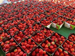 Strawberries at the local market. Photo by WUR
