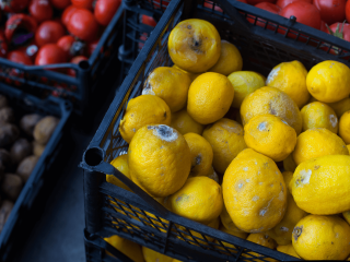 Schimmel op citroenen. Foto van Poket Idol/Shutterstock.com
