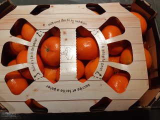 Mandarins are kept together for the purpose of buying complete boxes at retail. Photo by WUR