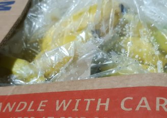 Handle bananas with care! Photo by WUR. 
