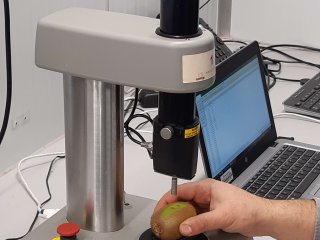 Het gebruik van een penetrometer om de stevigheid van een vrucht te bepalen. Foto van WUR
