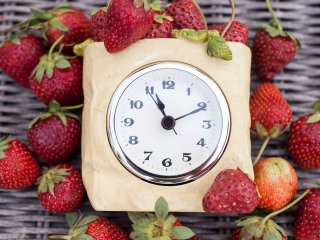 Timely transport to the farm or packhouse is important. Photo by allamimages/Shutterstock.com