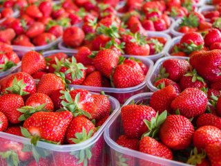 Grading strawberries helps in providing a uniform product. Photo by Andrej Privizer/Shutterstock.com