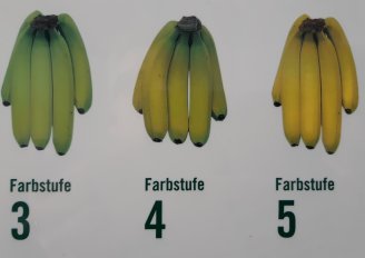 Kleurenkaart voor bananen. Foto van WUR