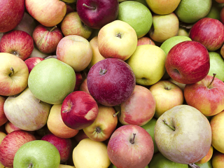 Verschillende appelrassen. Foto van Terrance Emerson/Shutterstock.com