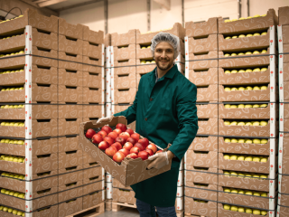 Nette stapel dozen. Foto van Aleksandar Malivuk/Shutterstock.com