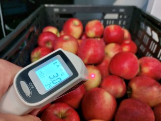 An infrared thermometer measures the surface temperature. Photo by WUR.