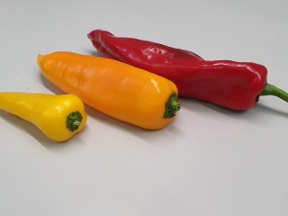 Different sizes of elongated sweet peppers. Photo by WUR
