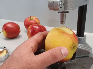Hold the fruit under the probe. Photo from WUR