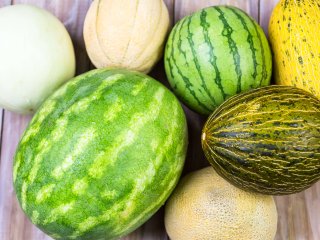 Different types of melons. Photo by Arina P Habich/Shutterstock.com