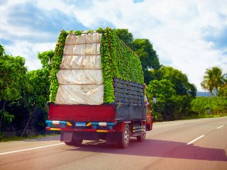 Een vrachtwagen geladen met bananen. Foto van Olesia Bilkei/Shutterstock.com