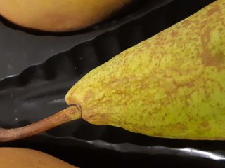 Wrinkling of the neck of a pear . Photo by WUR.