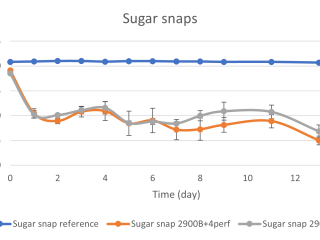 Sugar-snap-O2-graph.png