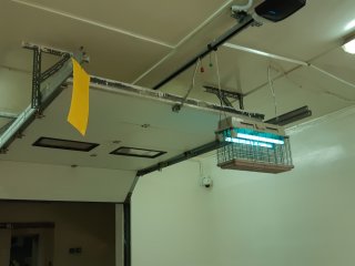Insect traps help to keep the packhoues clean. Photo by WUR