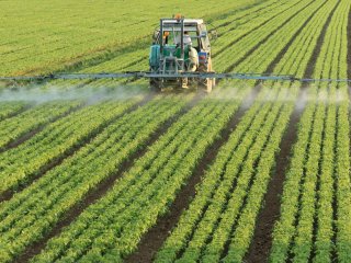 Pesticide application on a crop. Photo by Federico Rostagno/Shutterstock.com