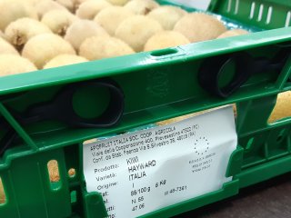 Groene klapkratten zijn in Europa beschikbaar in diverse maten. Foto door WUR.