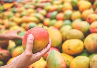 Don't squeeze in mangos, they get easily bruised. Photo by rjankovsky/Shutterstock.com