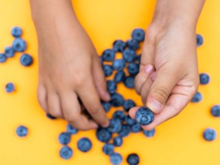 Blueberries are inspected after transport. Photo by Andrew Angelov/Shutterstock.com