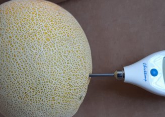 Het meten van de vruchtvleestemperatuur van een meloen. Foto van WUR