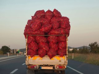 Een overvolle pick-up truck met rode paprika's. Foto van lucky eyes/shutterstock.com