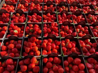 Strawberries at the market, attractive for consumers. Photo by WUR