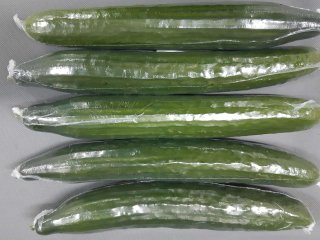 Cucumbers wrapped in shrinkfoil against dehydration. Photo by WUR.