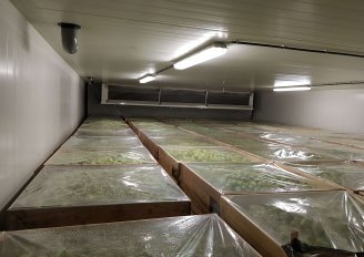 A cold storage room filled with pears. The top layer of pears is covered here to limit moisture loss through cold dry air. Photo by WUR.