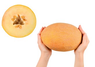 Interne en externe kwaliteit van meloenen. Foto van Holiday.Photo.Top/Shutterstock.com