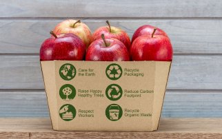 Appels met diverse aanduidingen met betrekking tot duurzaam gebruik van product en verpakking. Foto door HollyHarry/Schutterstock.com