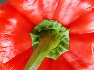 A  pepper showing wrinkling symptoms. Photo by WUR. 