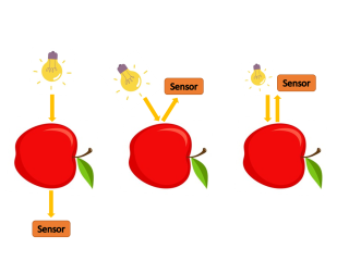 Drie meetmodi: transmissie (links), reflectie (midden) en interactie (rechts). Illustratie van WUR