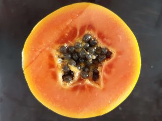 A cross-section of papaya with glassiness around the seedlist due to cold damage. Photo by WUR.