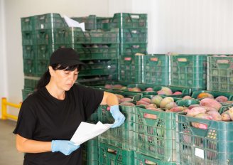 A quality supervisor registers the data of the mangos upon arrival. Photo by Bearfotos/Shutterstock.com