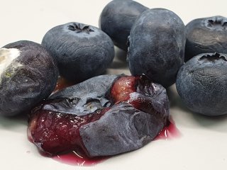 Rotten and damaged blueberries should be removed. Photo by WUR