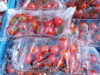 Let op! Tomatenbakjes in flowpack met macroperforaties die worden geblokkeerd in de onderste laag verpakkingen, met als gevolg een hoger risico op schimmelgroei. Foto door WUR.